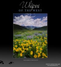 WILDFLOWERS AT CRESTED BUTTE